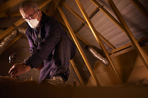 Types of Insulation We Offer in Woods Hole, MA